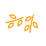 Folhas