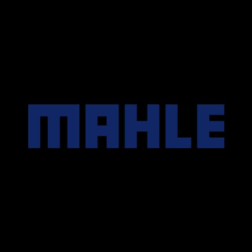 Logo Cliente